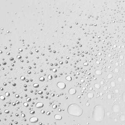 antioxidant hydramist travel (30ml) - Dermalogica Singapore