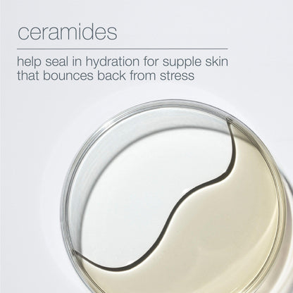 hyaluronic ceramide mist - Dermalogica Singapore