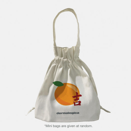 Mini Bag (Free gift) - Dermalogica Singapore