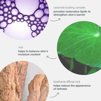 stabilizing repair cream - Dermalogica Singapore