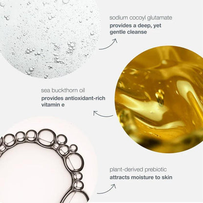 [try and buy] oil to foam total cleanser trial 15ml - Dermalogica Singapore